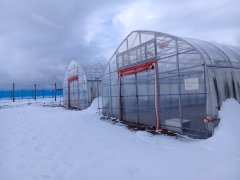 凪農園のスイカやメロン、ミディトマトができるまで（春の準備編）