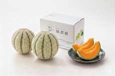 画像2: 【2026年度　予約注文・送料無料・６月発送】糖度保証15度以上 　凪農園 砂地育ちの濃厚マルセイユメロン（赤肉） (2)