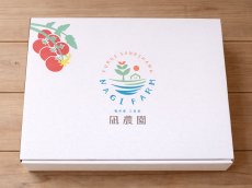 画像5: 【2026年度　予約注文・送料無料・10~11月発送】凪農園 砂地育ちの完熟フルーティミディトマト (5)