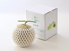画像4: 【2026年度　予約注文・送料無料・9月発送】　糖度保証15度以上 　凪農園 砂地育ちのアールスメロン（緑肉） (4)